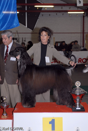 gal/Expo janvier 2007/KD1_0317.jpg